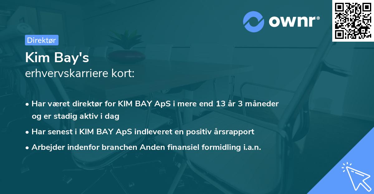 Kim Bay's erhvervskarriere kort