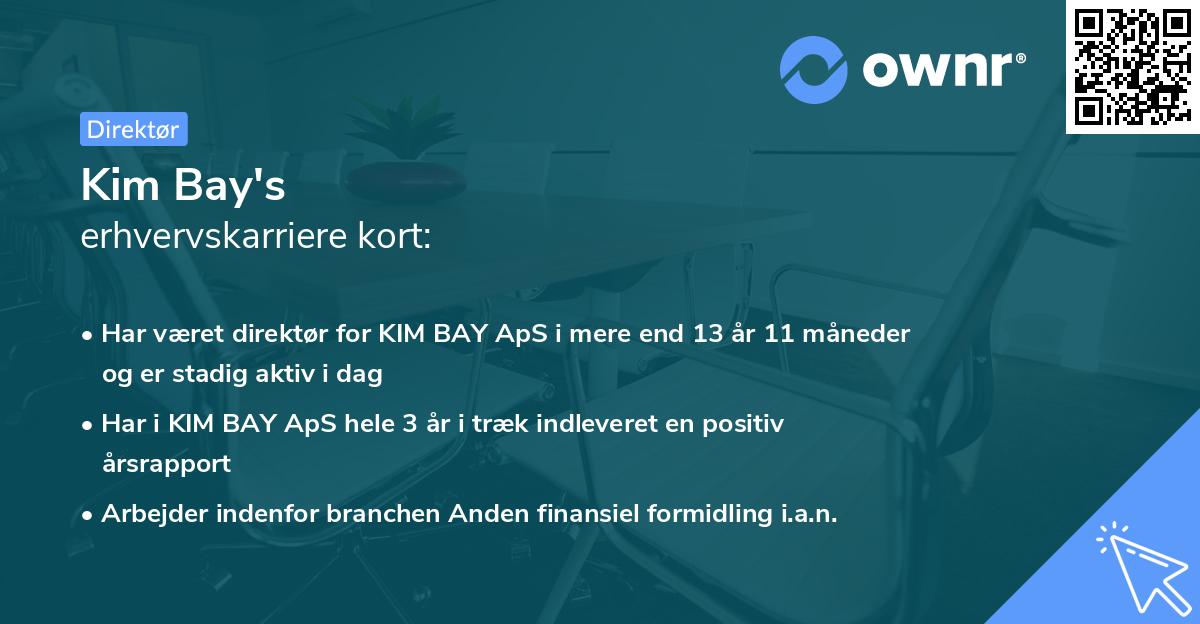 Kim Bay's erhvervskarriere kort