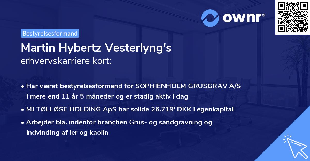 Martin Hybertz Vesterlyng's erhvervskarriere kort