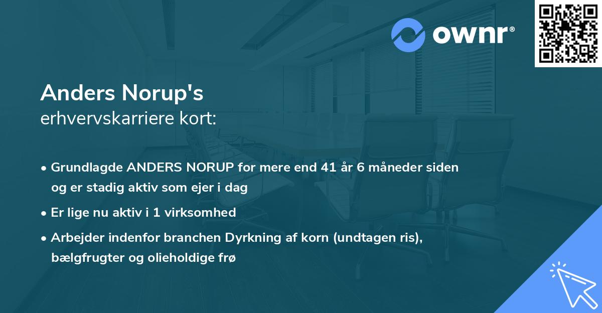 Anders Norup's erhvervskarriere kort