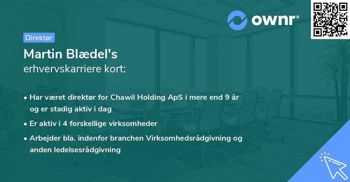 Martin Blædel's erhvervskarriere kort