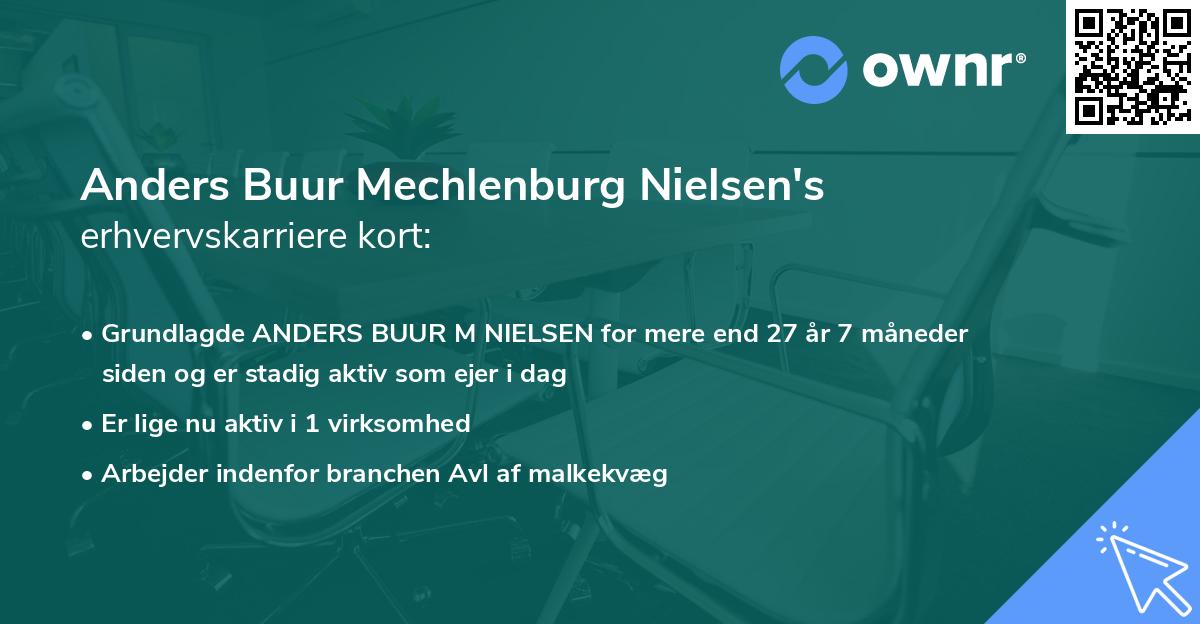 Anders Buur Mechlenburg Nielsen's erhvervskarriere kort
