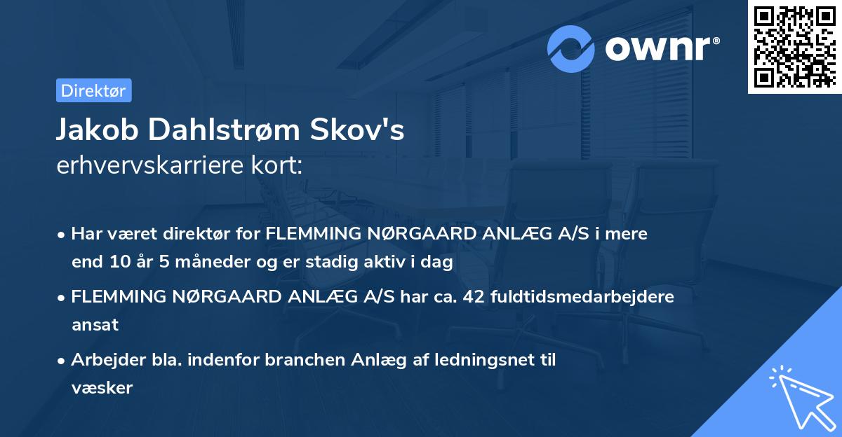 Jakob Dahlstrøm Skov's erhvervskarriere kort