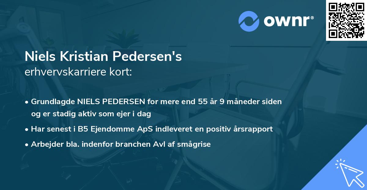 Niels Kristian Pedersen's erhvervskarriere kort