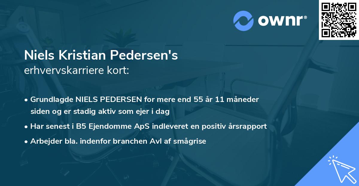 Niels Kristian Pedersen's erhvervskarriere kort