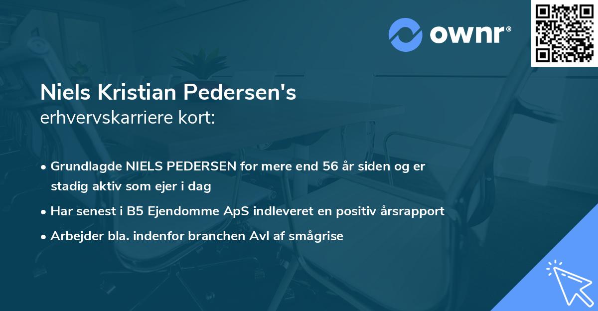 Niels Kristian Pedersen's erhvervskarriere kort