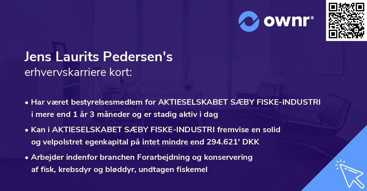 Jens Laurits Pedersen's erhvervskarriere kort