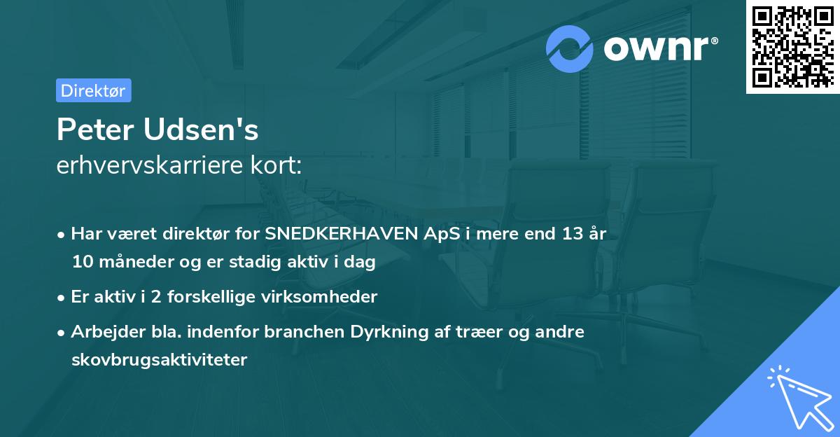 Peter Udsen's erhvervskarriere kort