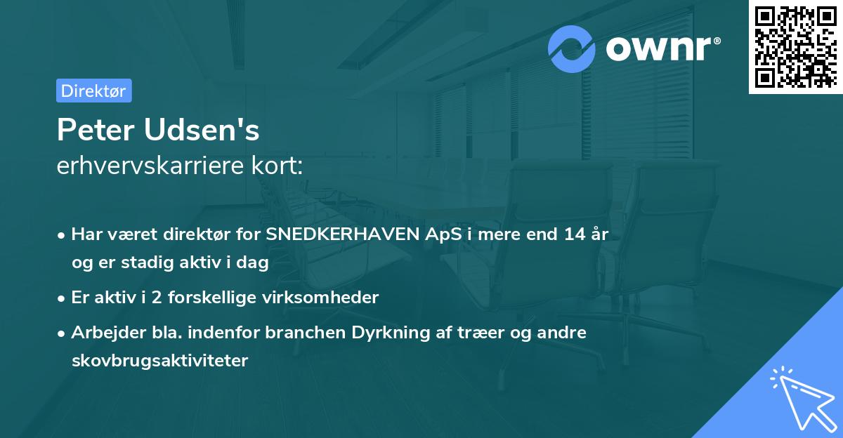 Peter Udsen's erhvervskarriere kort