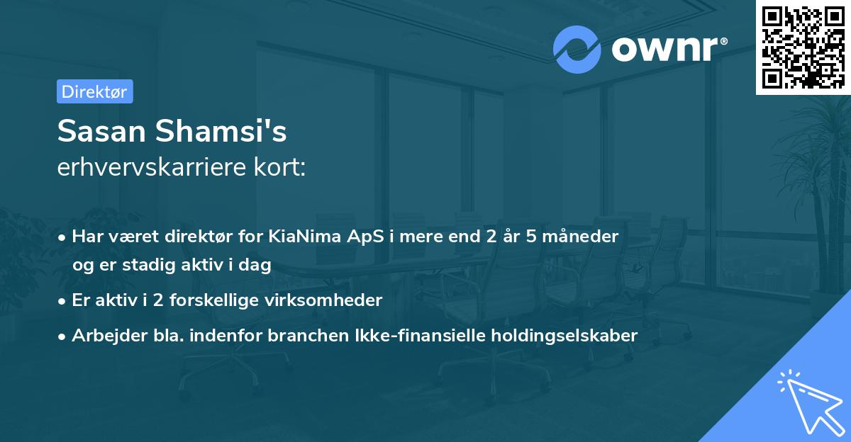Sasan Shamsi's erhvervskarriere kort