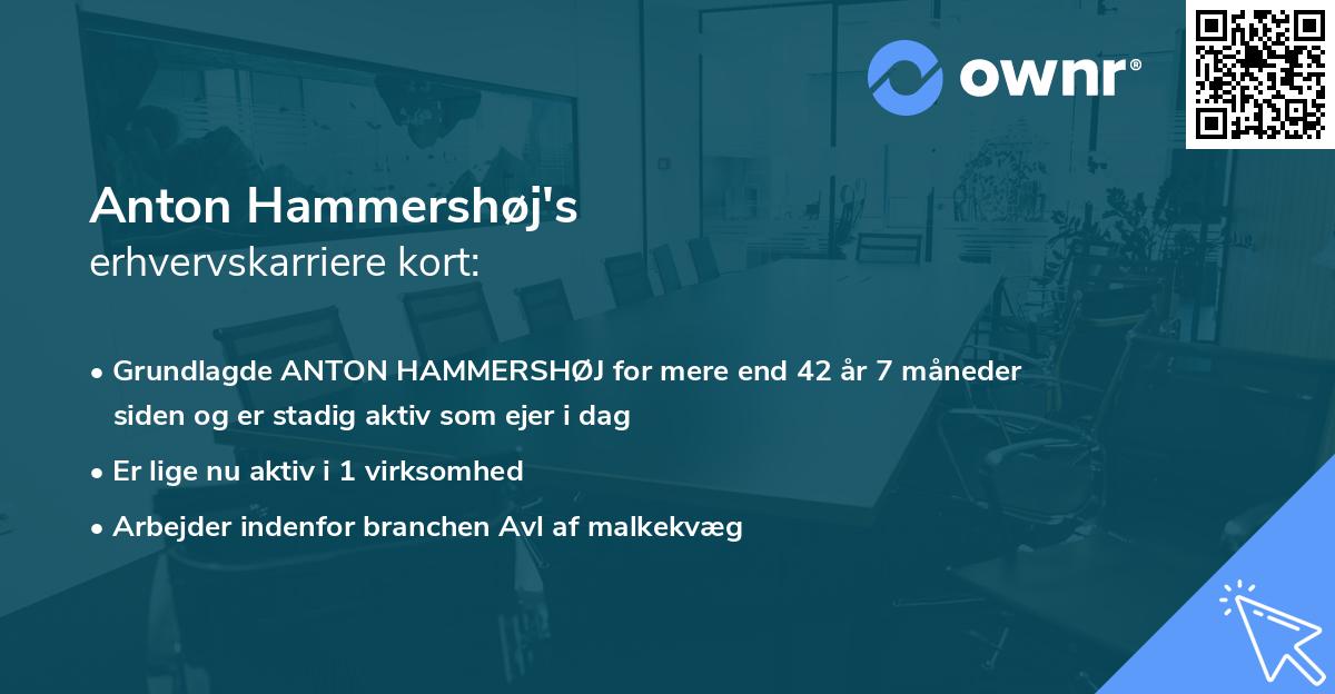 Anton Hammershøj's erhvervskarriere kort