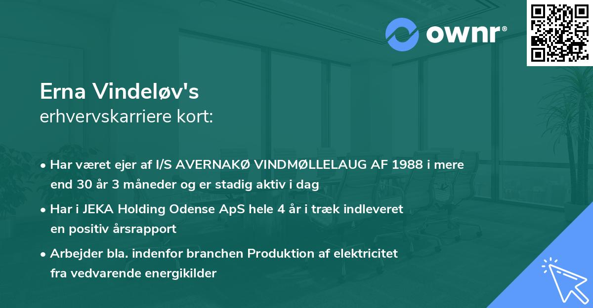 Erna Vindeløv's erhvervskarriere kort