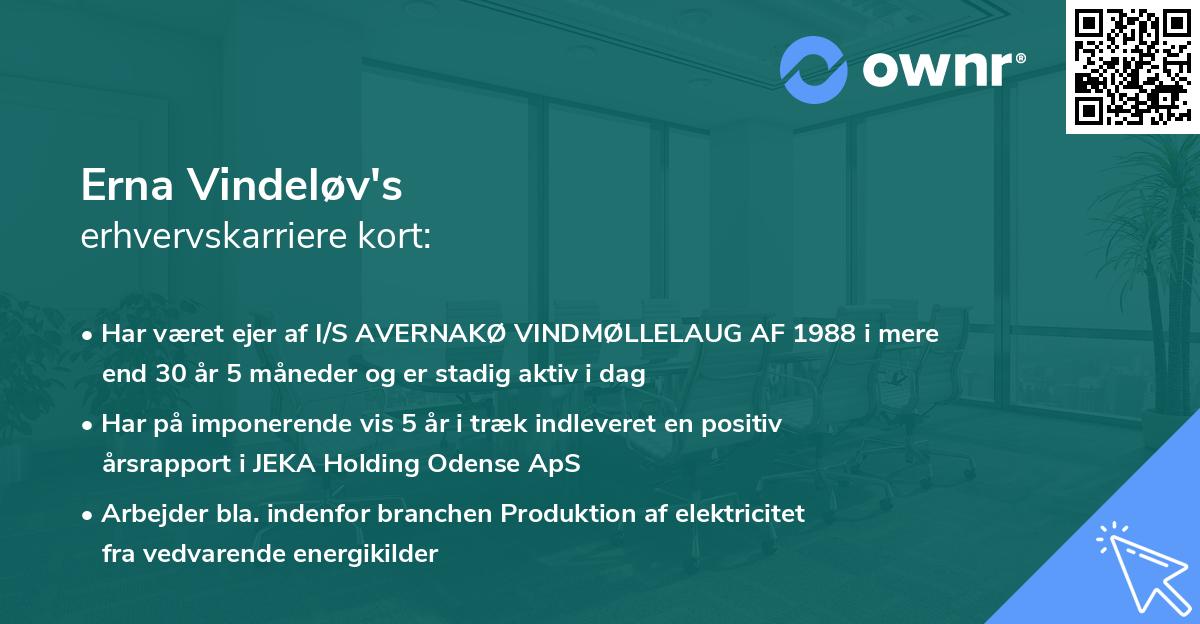 Erna Vindeløv's erhvervskarriere kort