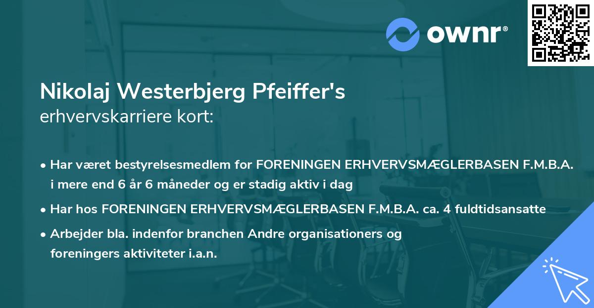 Nikolaj Westerbjerg Pfeiffer's erhvervskarriere kort