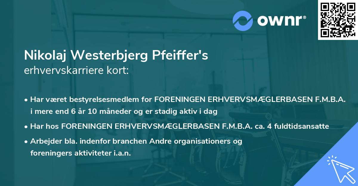 Nikolaj Westerbjerg Pfeiffer's erhvervskarriere kort