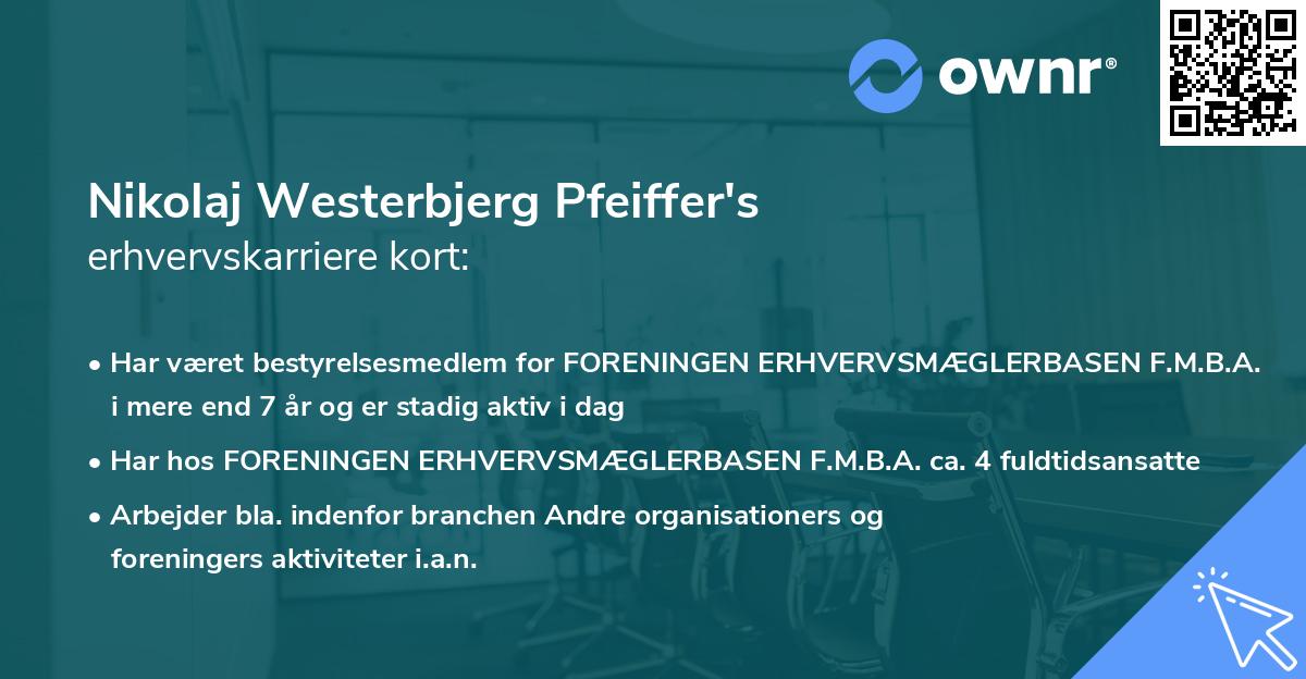 Nikolaj Westerbjerg Pfeiffer's erhvervskarriere kort