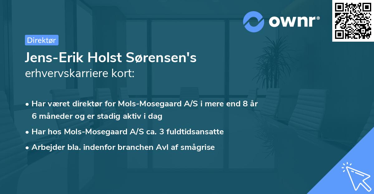 Jens-Erik Holst Sørensen's erhvervskarriere kort