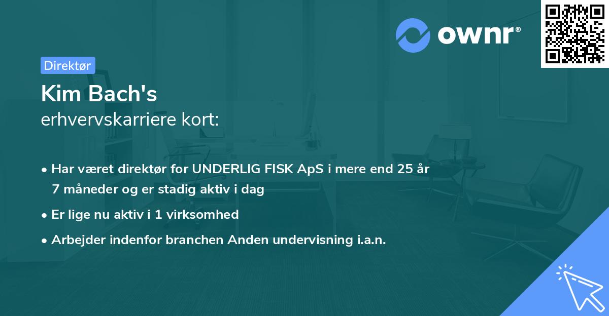 Kim Bach's erhvervskarriere kort
