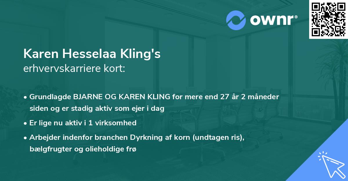 Karen Hesselaa Kling's erhvervskarriere kort
