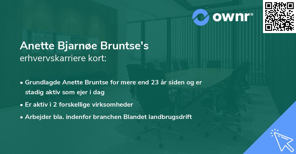 Anette Bjarnøe Bruntse's erhvervskarriere kort