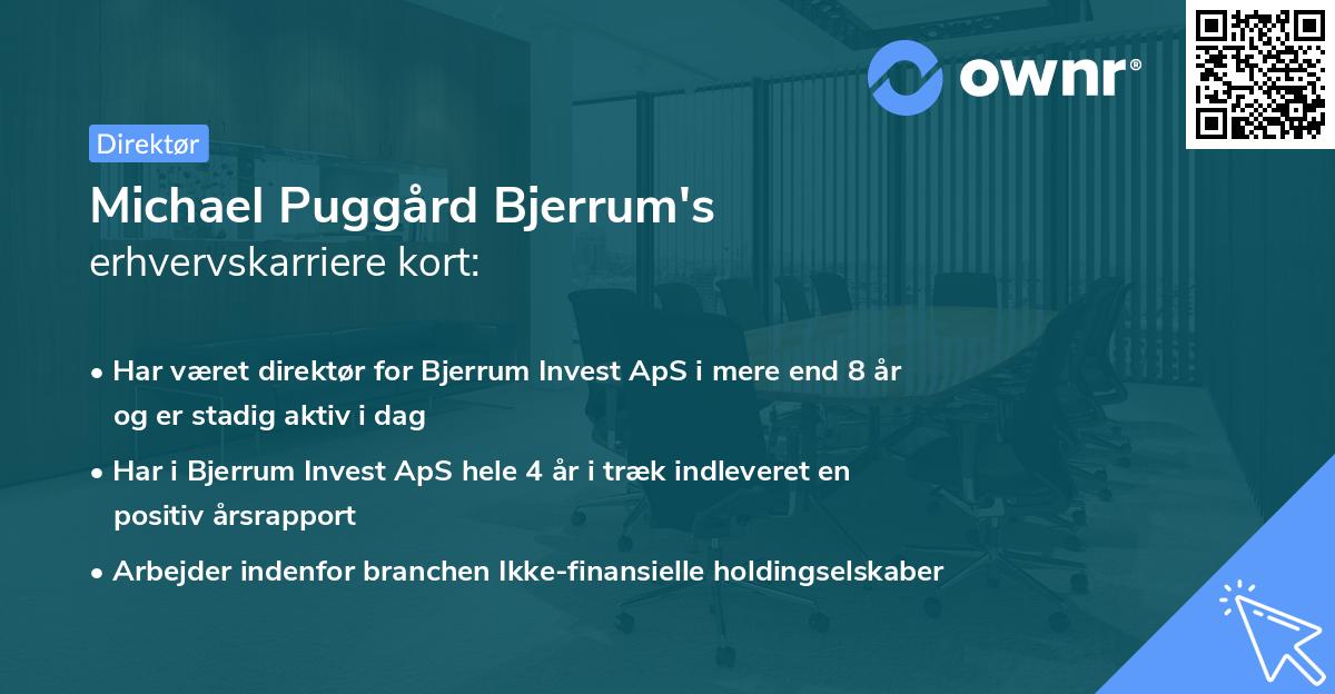 Michael Puggård Bjerrum's erhvervskarriere kort