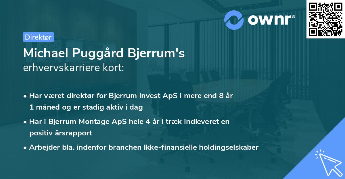 Michael Puggård Bjerrum's erhvervskarriere kort