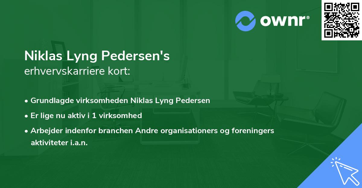 Niklas Lyng Pedersen's erhvervskarriere kort