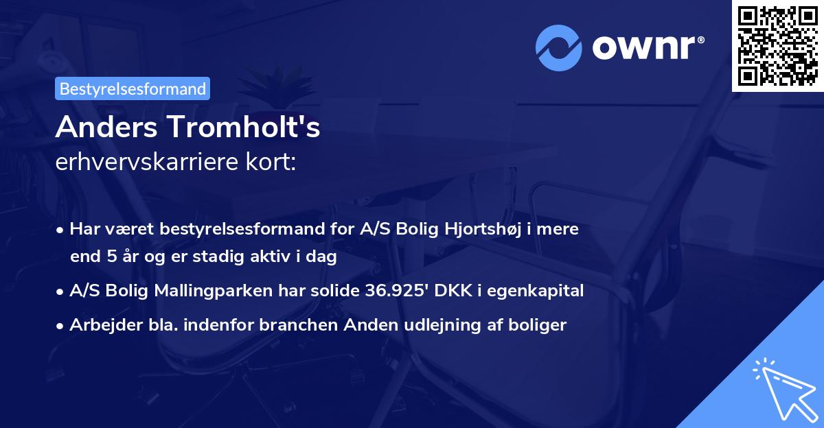 Anders Tromholt's erhvervskarriere kort