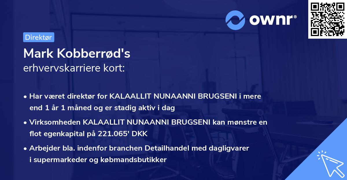 Mark Kobberrød's erhvervskarriere kort