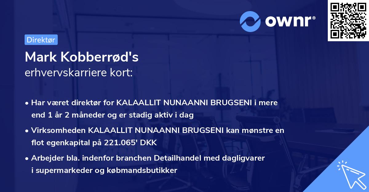 Mark Kobberrød's erhvervskarriere kort