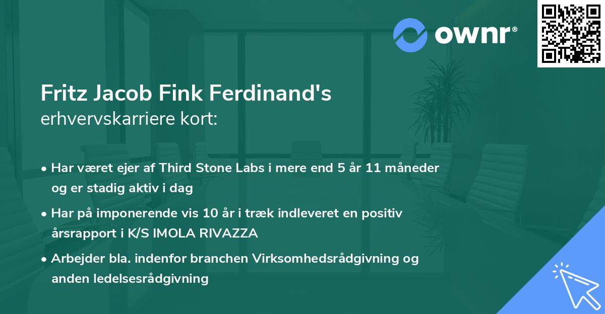Fritz Jacob Fink Ferdinand's erhvervskarriere kort