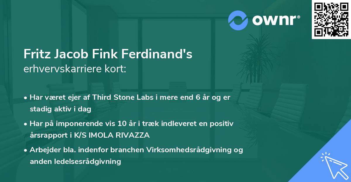 Fritz Jacob Fink Ferdinand's erhvervskarriere kort