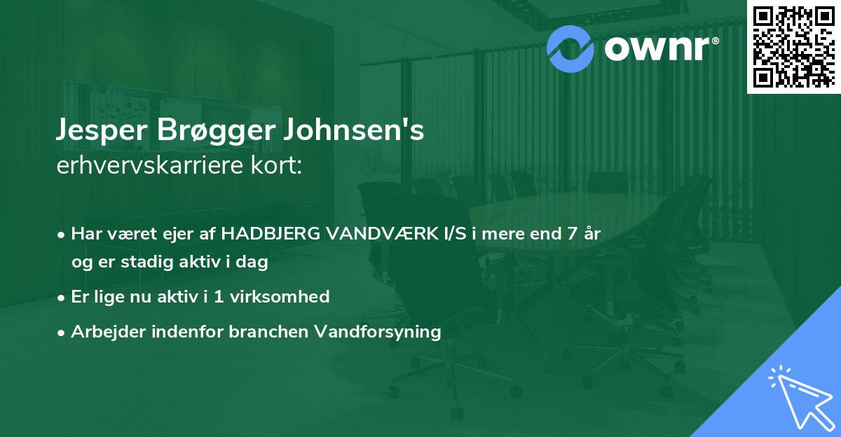 Jesper Brøgger Johnsen's erhvervskarriere kort