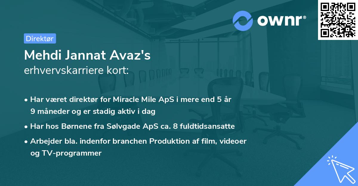 Mehdi Jannat Avaz's erhvervskarriere kort