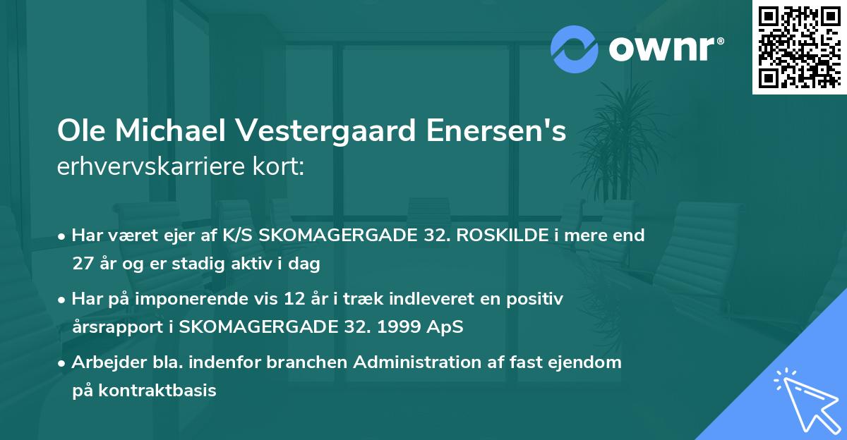 Ole Michael Vestergaard Enersen's erhvervskarriere kort