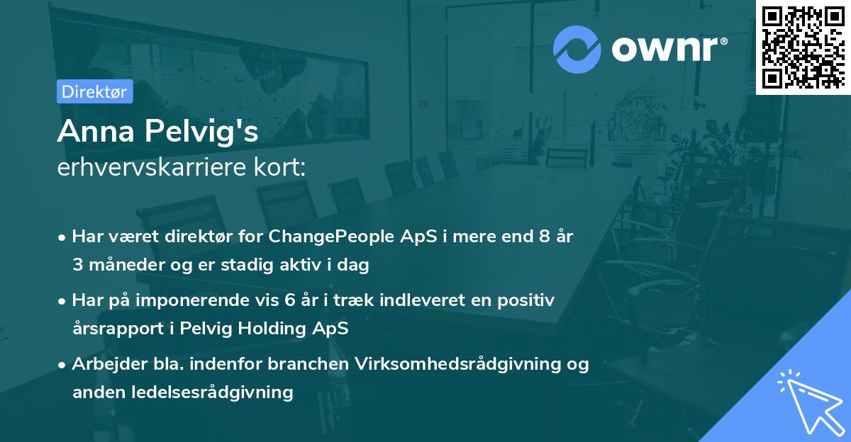 Anna Pelvig's erhvervskarriere kort