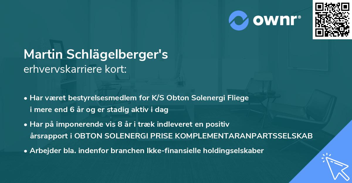 Martin Schlägelberger's erhvervskarriere kort