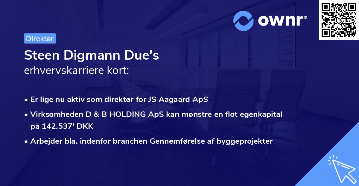 Steen Digmann Due's erhvervskarriere kort