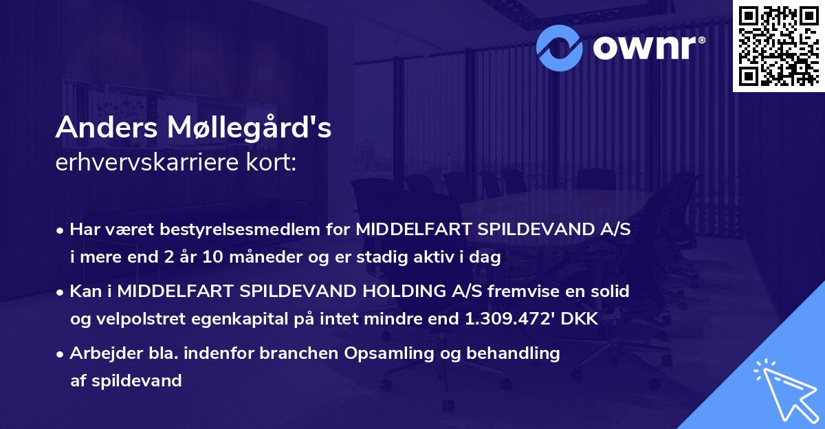 Anders Møllegård's erhvervskarriere kort