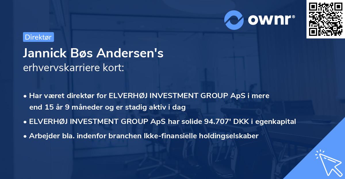 Jannick Bøs Andersen's erhvervskarriere kort