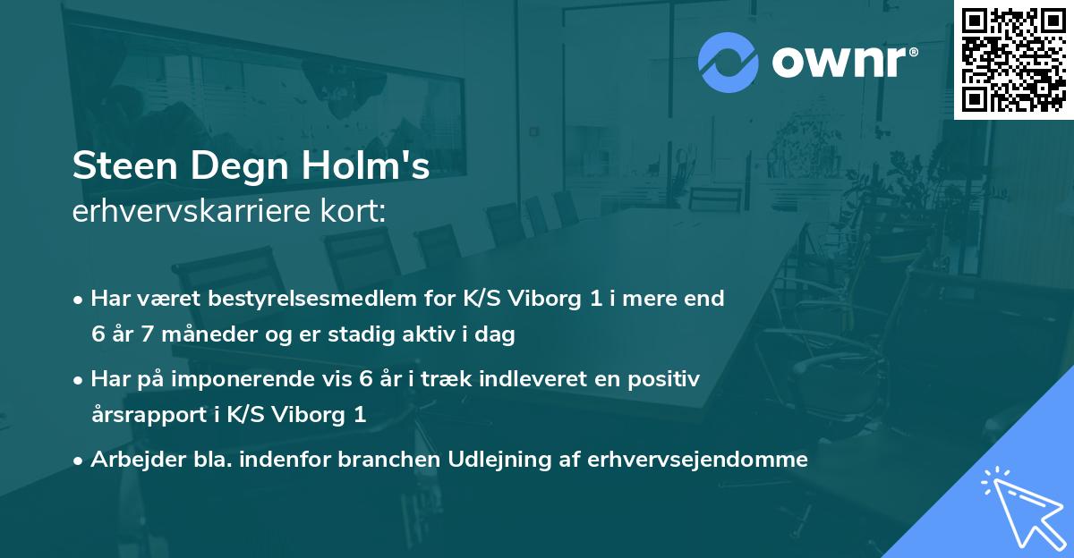 Steen Degn Holm's erhvervskarriere kort