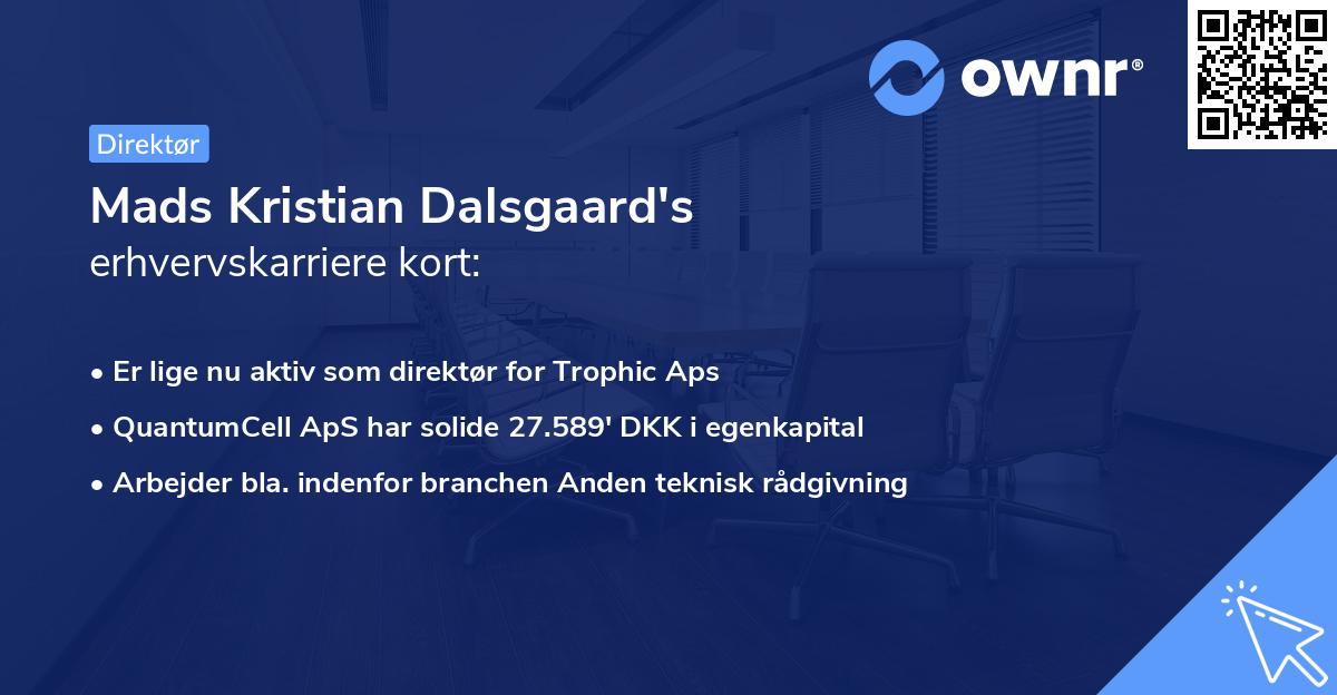 Mads Kristian Dalsgaard's erhvervskarriere kort