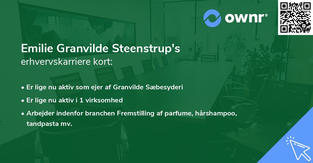 Emilie Granvilde Steenstrup's erhvervskarriere kort
