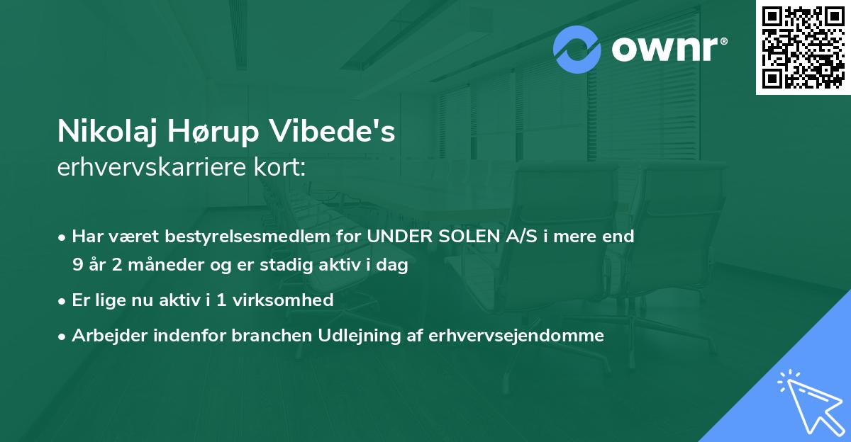 Nikolaj Hørup Vibede's erhvervskarriere kort