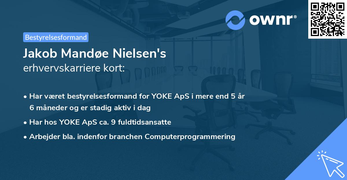 Jakob Mandøe Nielsen's erhvervskarriere kort