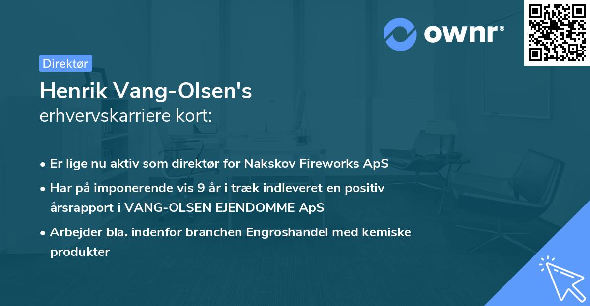 Henrik Vang-Olsen's erhvervskarriere kort