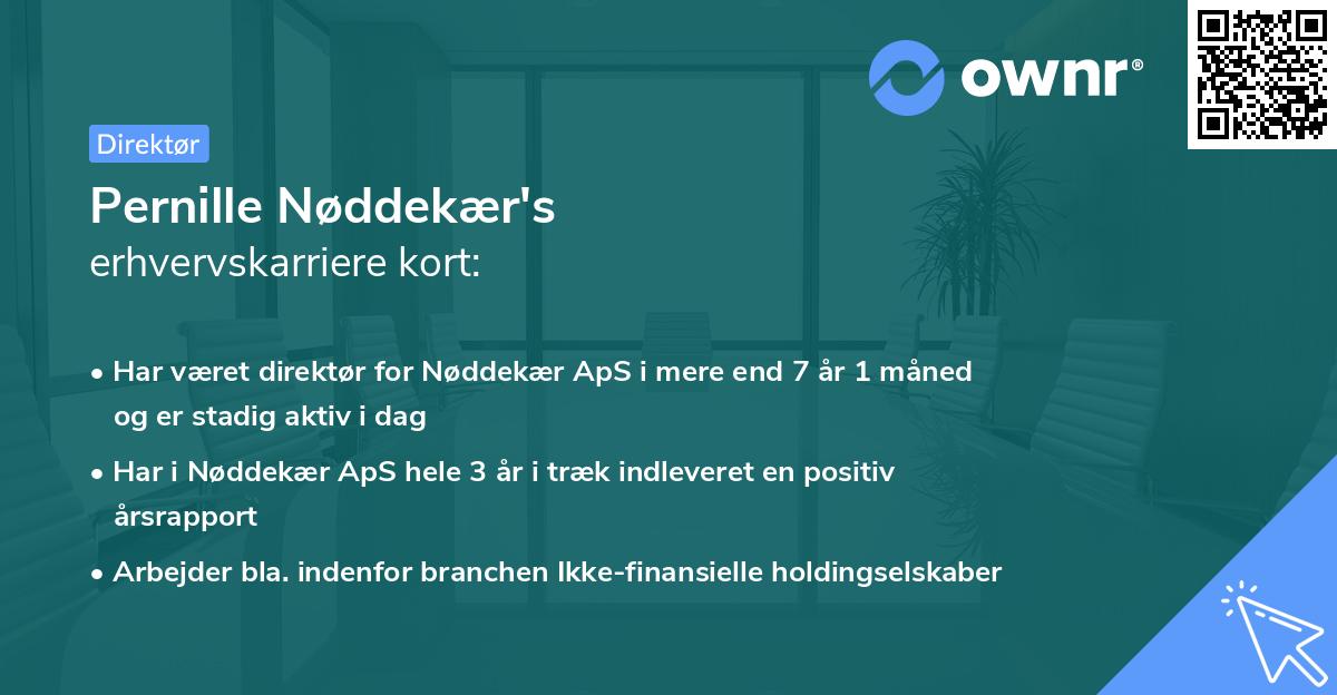 Pernille Nøddekær's erhvervskarriere kort