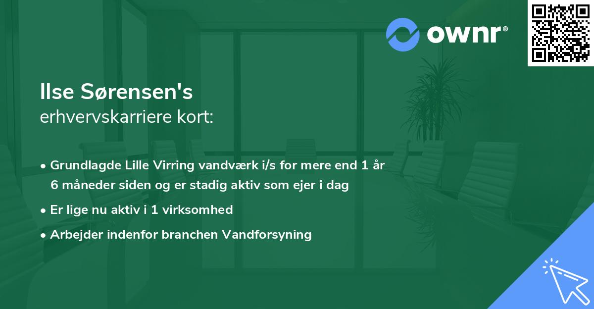 Ilse Sørensen's erhvervskarriere kort