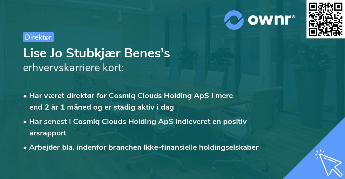 Lise Jo Stubkjær Benes's erhvervskarriere kort
