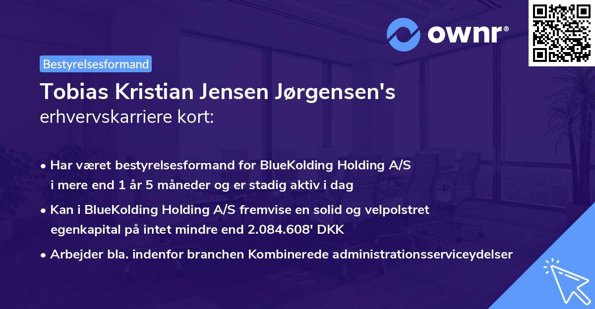 Tobias Kristian Jensen Jørgensen's erhvervskarriere kort